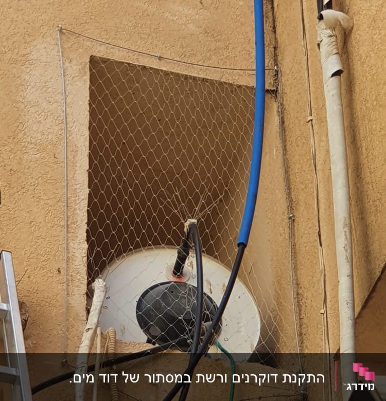 רשת למניעת כניסת יונים על צלחת לוויין
